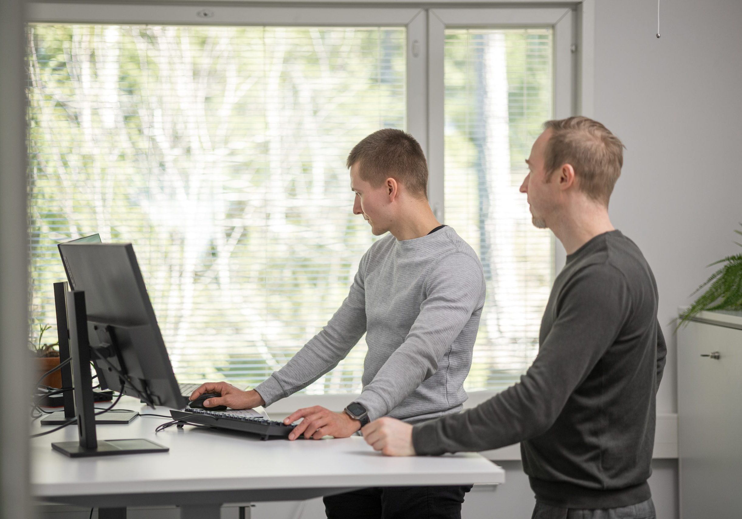 auramarine_values_19032025_049